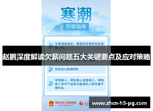 赵鹏深度解读欠薪问题五大关键要点及应对策略 赵鹏深度解读欠薪问题五大关键要点及应对策略