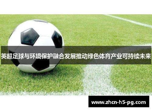 英超足球与环境保护融合发展推动绿色体育产业可持续未来