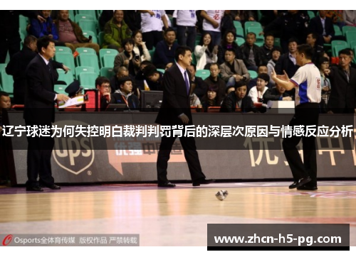 辽宁球迷为何失控明白裁判判罚背后的深层次原因与情感反应分析